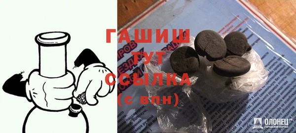 индика Абаза
