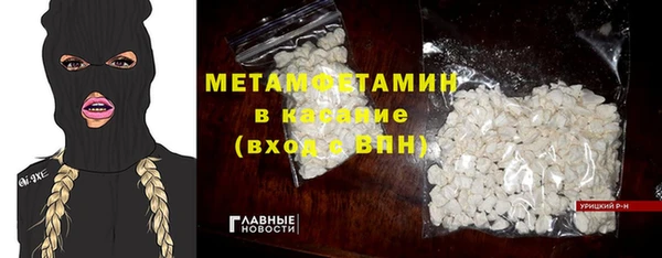 индика Абаза