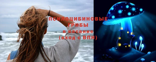 индика Абаза