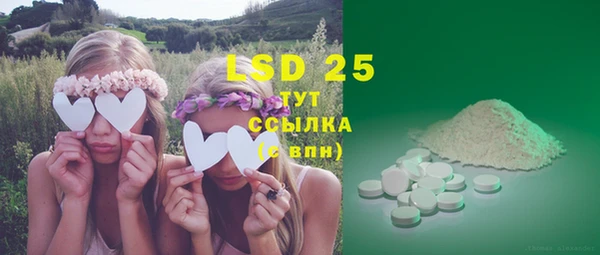 индика Абаза