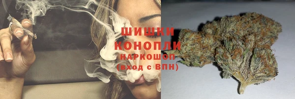 индика Абаза