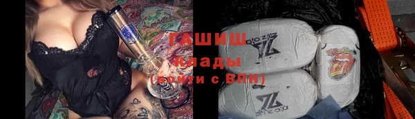 индика Абаза