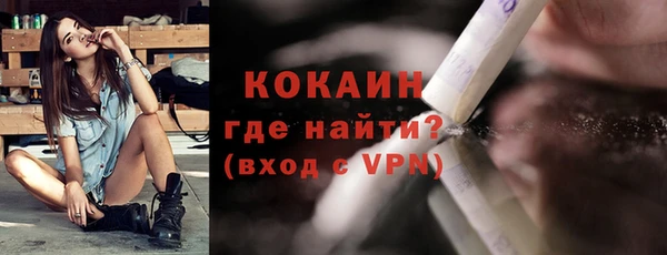 индика Абаза