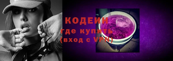 индика Абаза