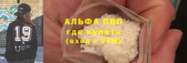 индика Абаза