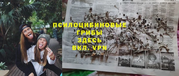 индика Абаза