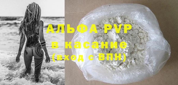 индика Абаза
