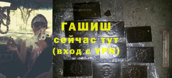 индика Абаза