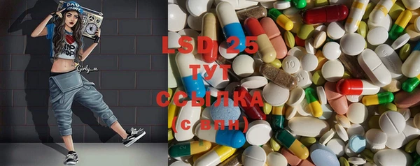 индика Абаза