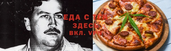 индика Абаза